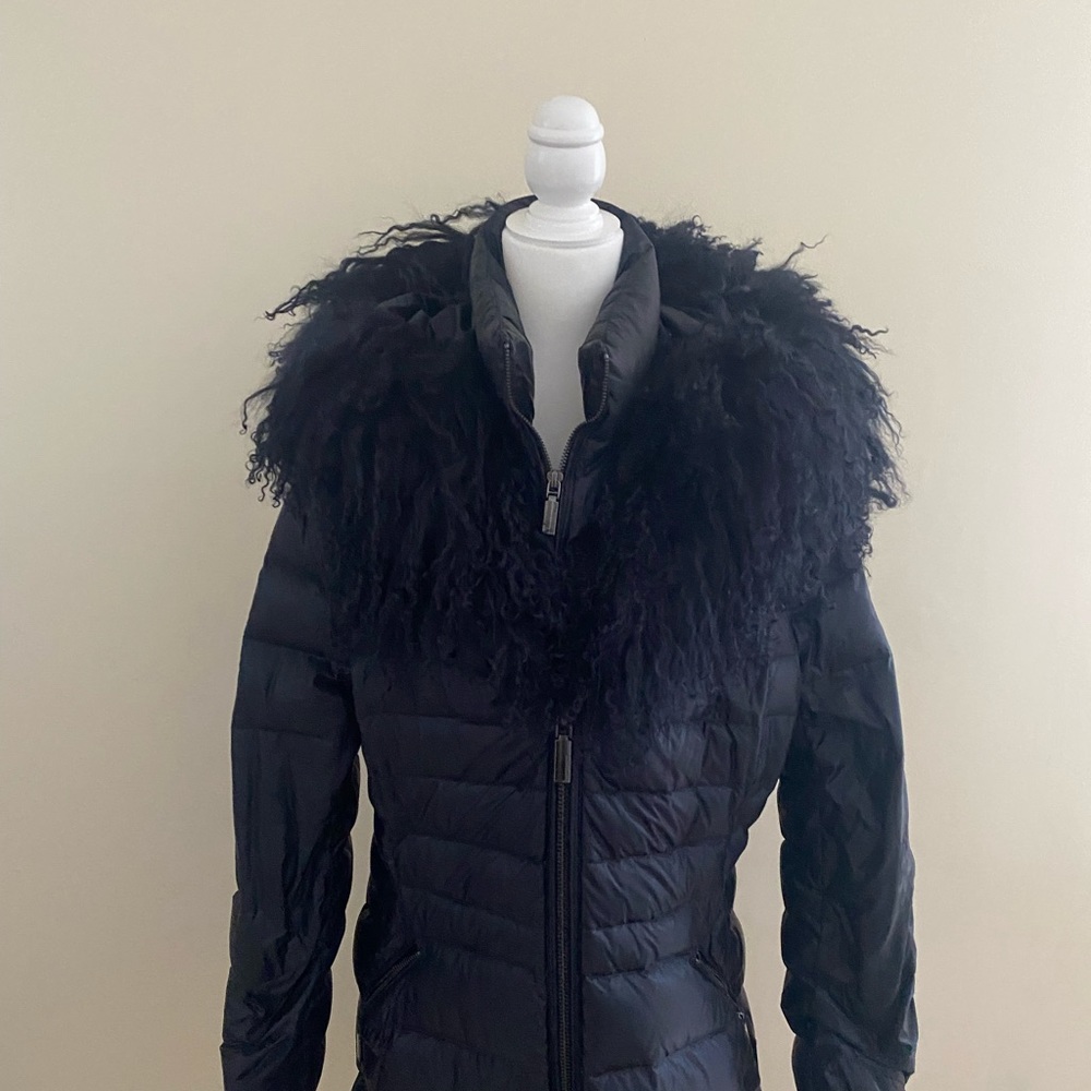 Dawn Levy coat